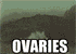 :ovaries: